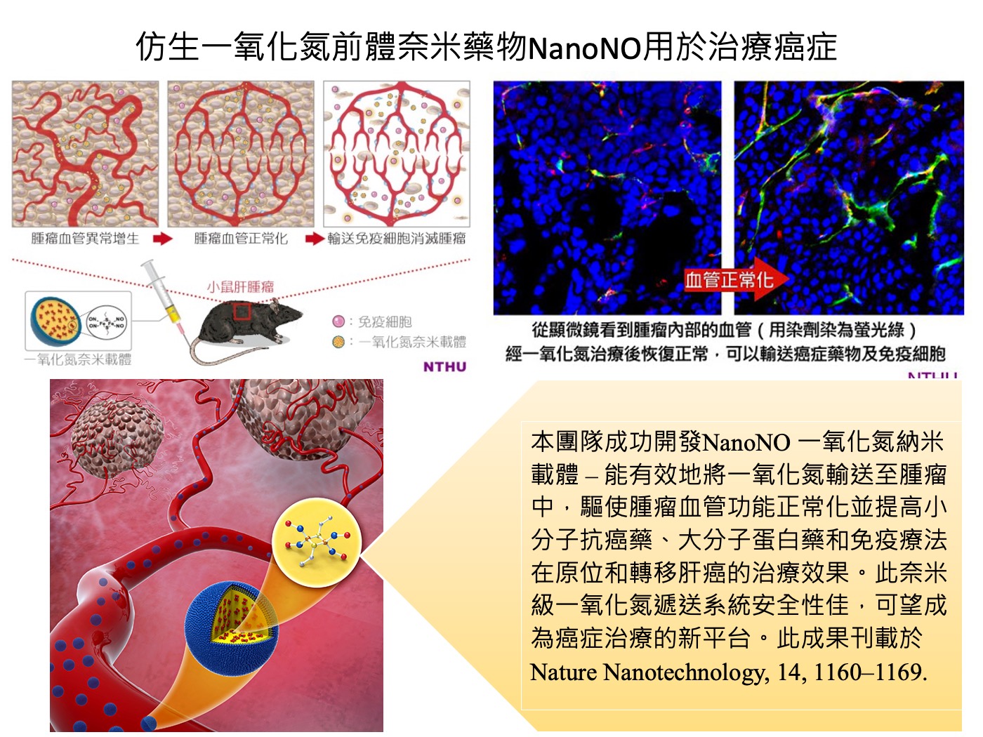 仿生一氧化氮前體奈米藥物NanoNO用於治療癌症