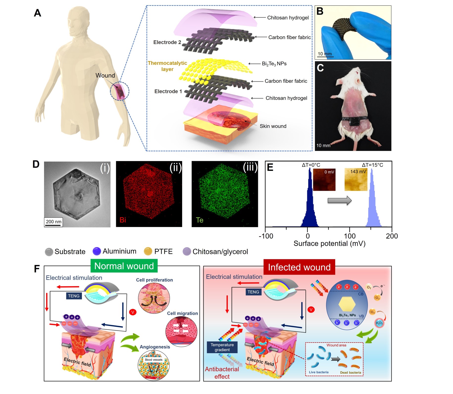 A WearableSelf-powered Multifunctional Module for Active Infection Prevention, Accelerated Wound HealingNoninvasive Healing Monitoring