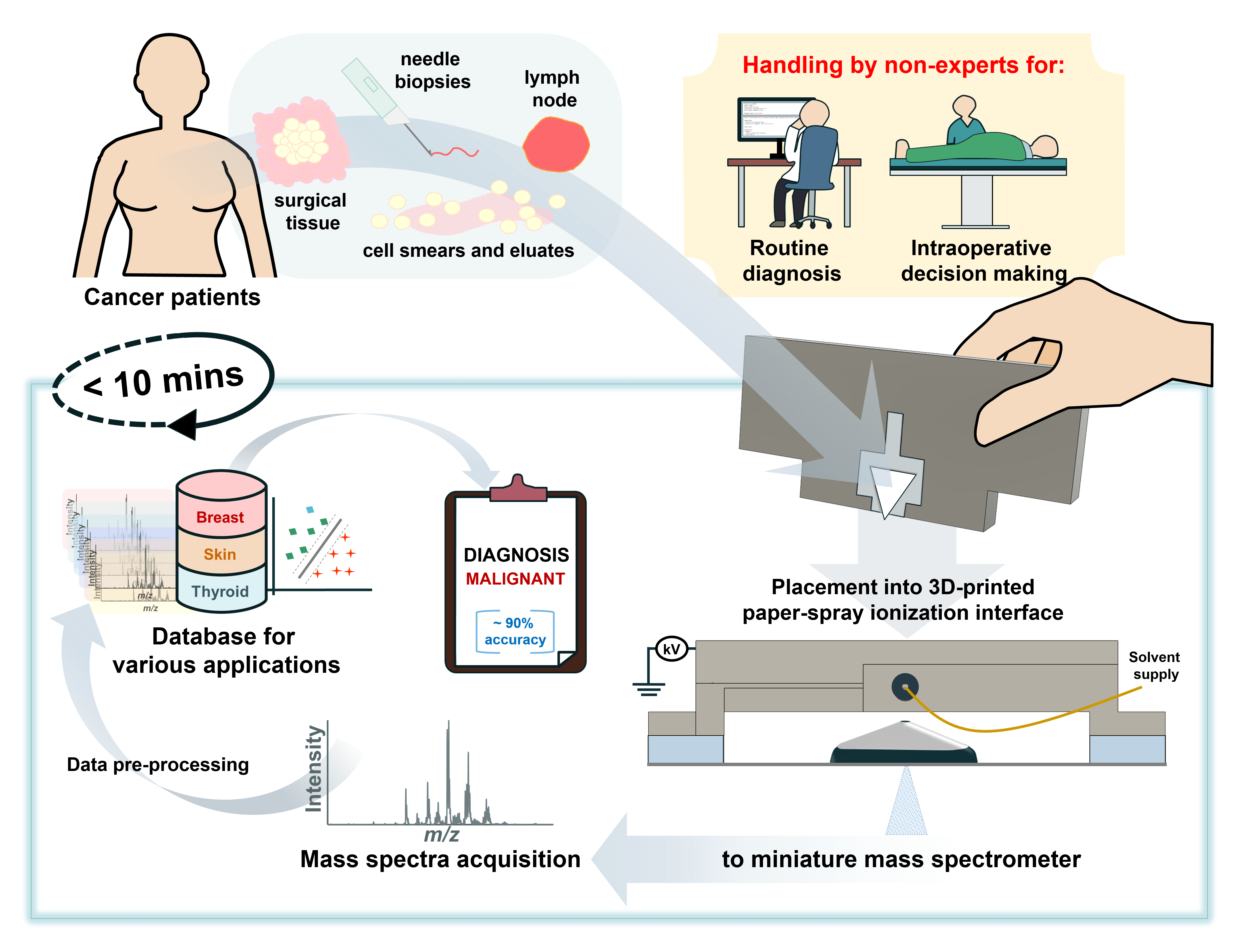 On-site cancer diagnosis with miniature mass spectrometry