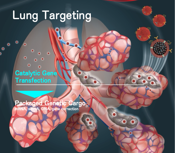 次世代高效肺臟基因遞送與催化轉染技術