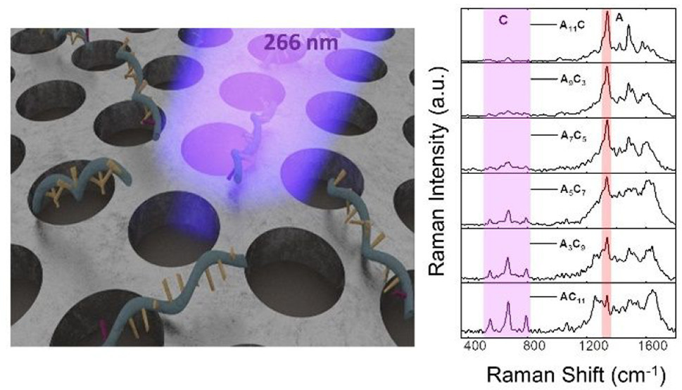 Demonstration of a Superior Deep-UV Surface-Enhanced Resonance Raman Scattering (SERRS) Substrate and Single-Base Mutation Detection in Oligonucleotides