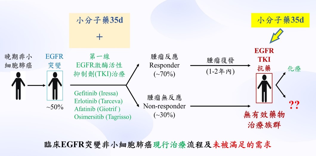 薑黃素衍生物35d以治療EGFR突變TKI抗藥性肺癌