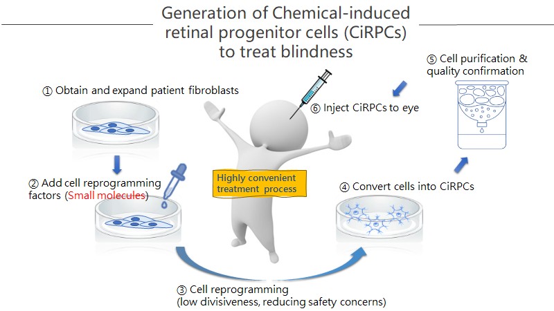 Direct Reprogramming of Human Fibroblasts into Retinal Progenitor Cells by Small Molecules to Treat Photoreceptor Degeneration