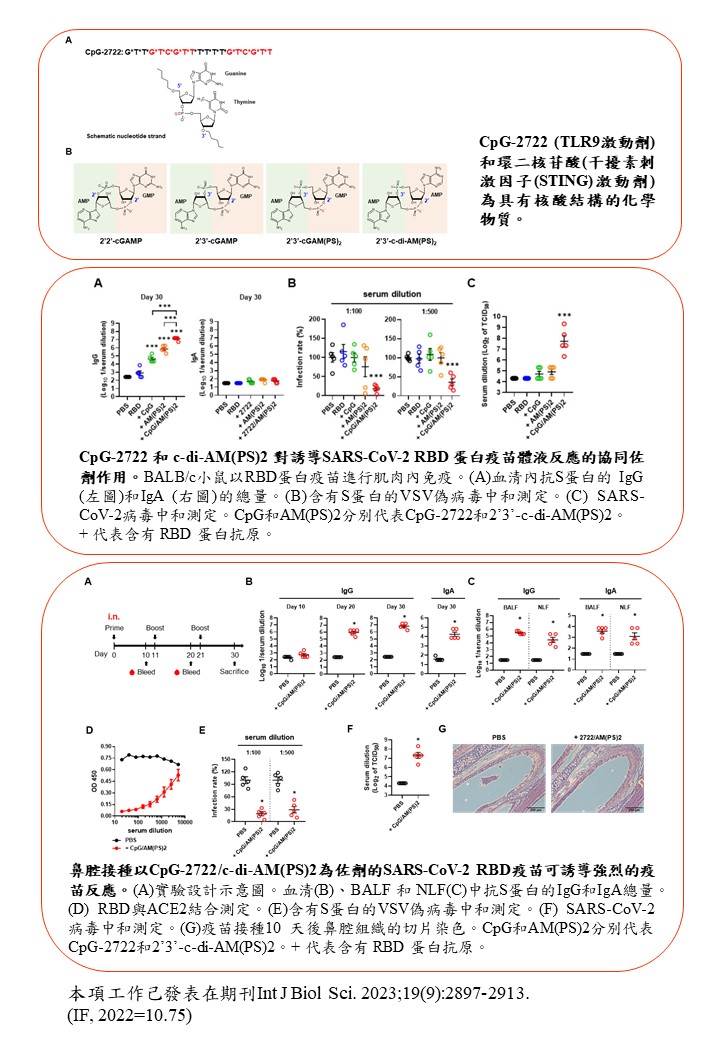 一種新型核酸結構免疫活化組合物作為鼻腔噴霧疫苗佐劑的應用