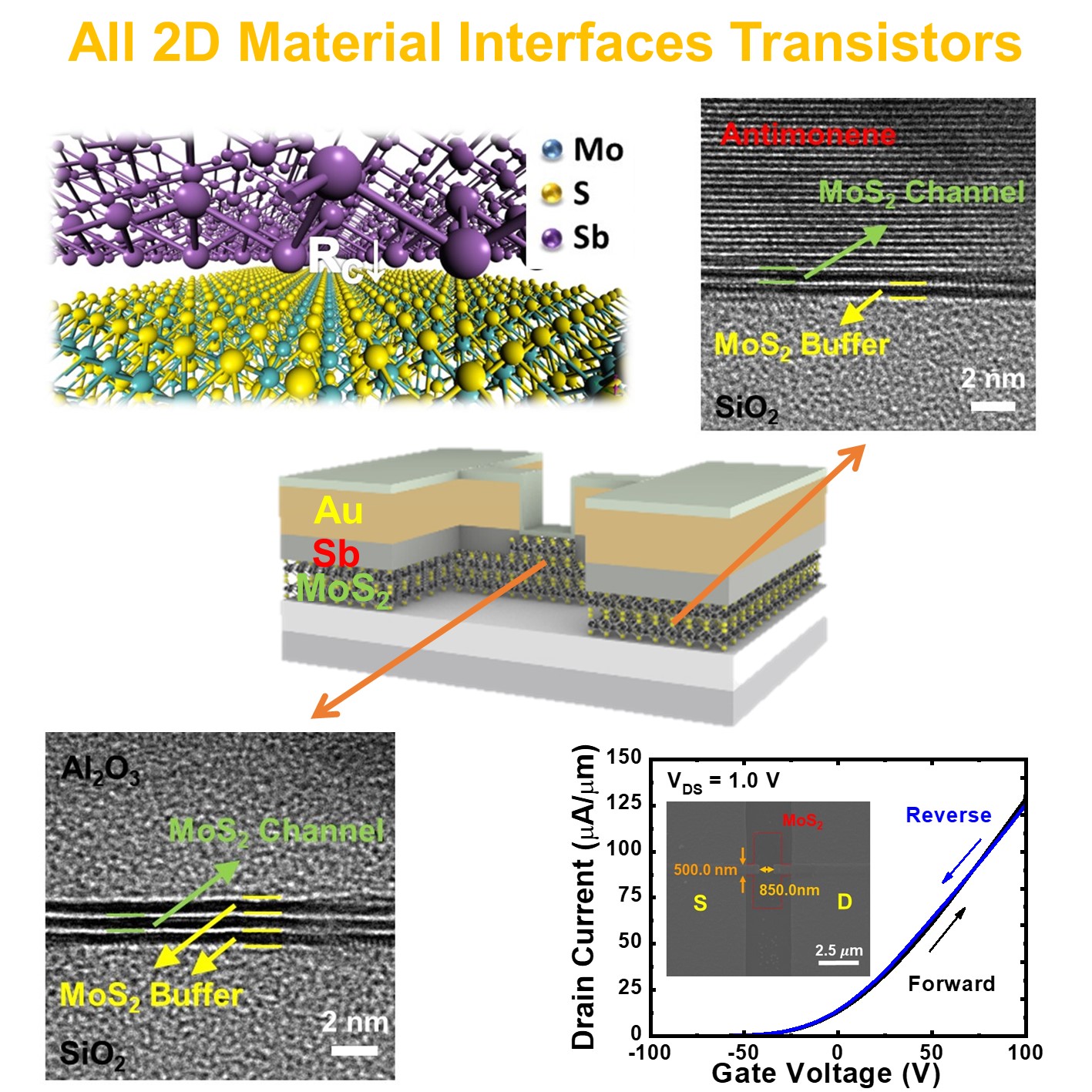 The Future of 2D Materials: Transistors, Transparent Electrodes and Photodetectors