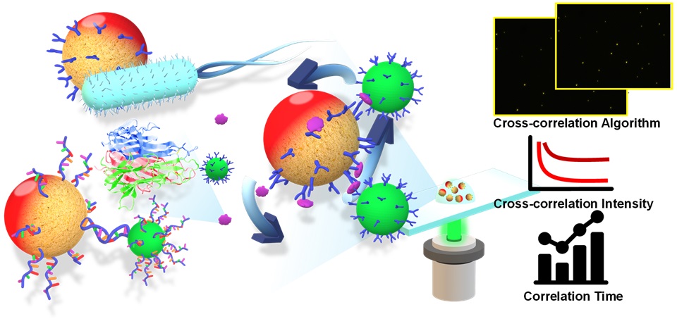 Bead-based detection of trace analytes on an automated platform