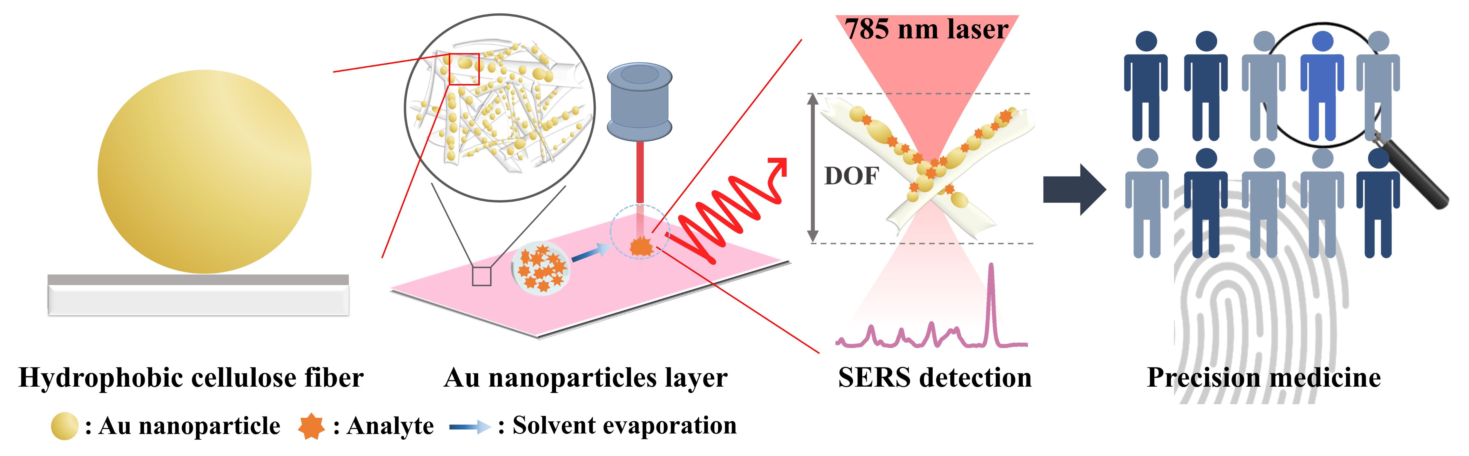 Ultrasensitive SERS-based Sensing Platform for Clinical Applications