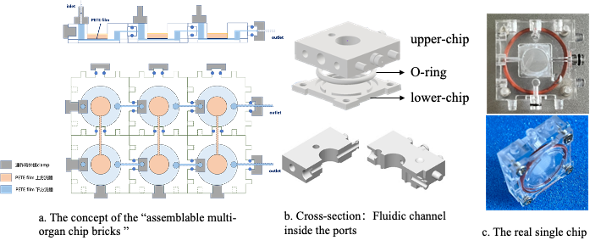 CHIP SET AND ORGAN-ON-CHIP THEREOF, AND BIONIC DEVICE USING THE SAME