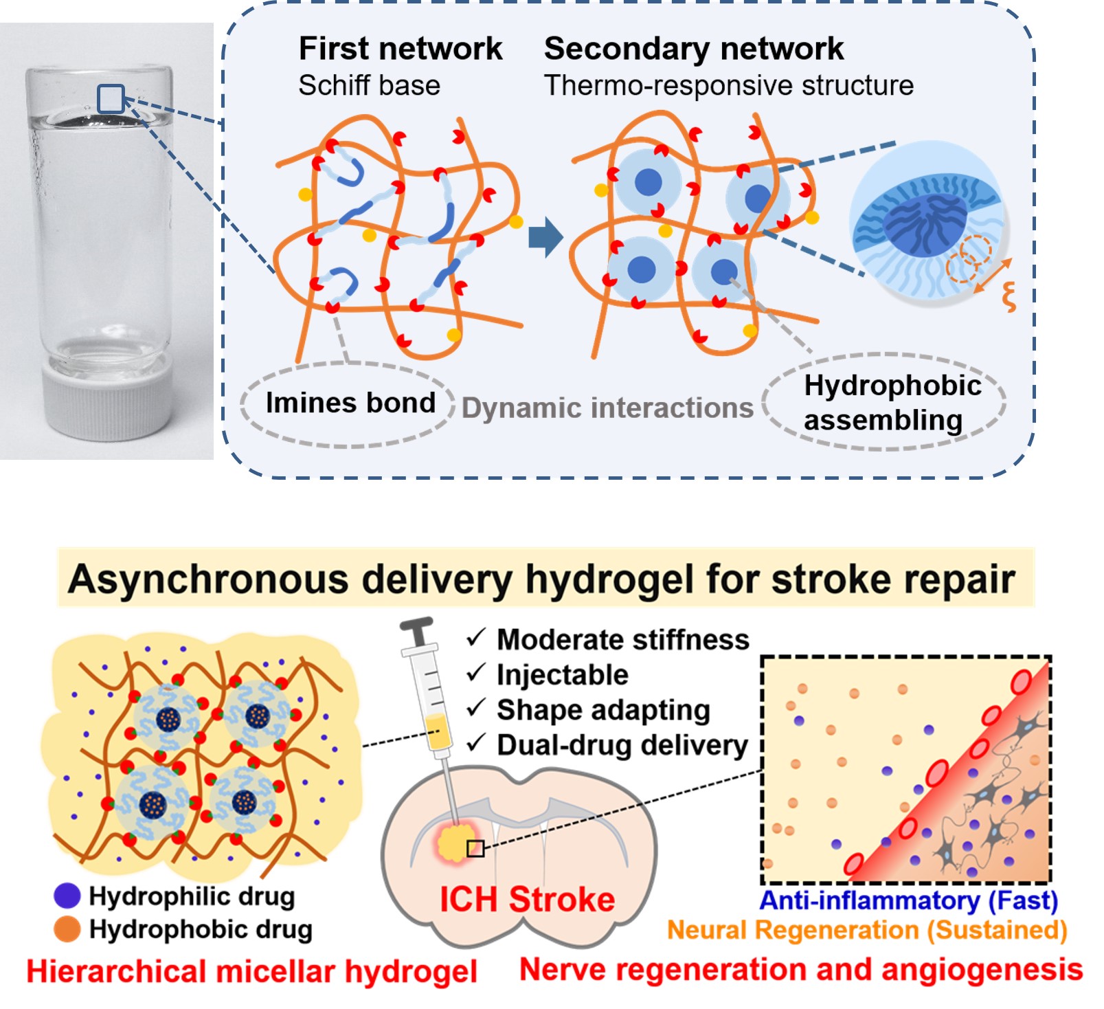 Smart Chitosan Hydrogel with Asynchronous Drug Release for the Treatment of intracerebral hemorrhage stroke