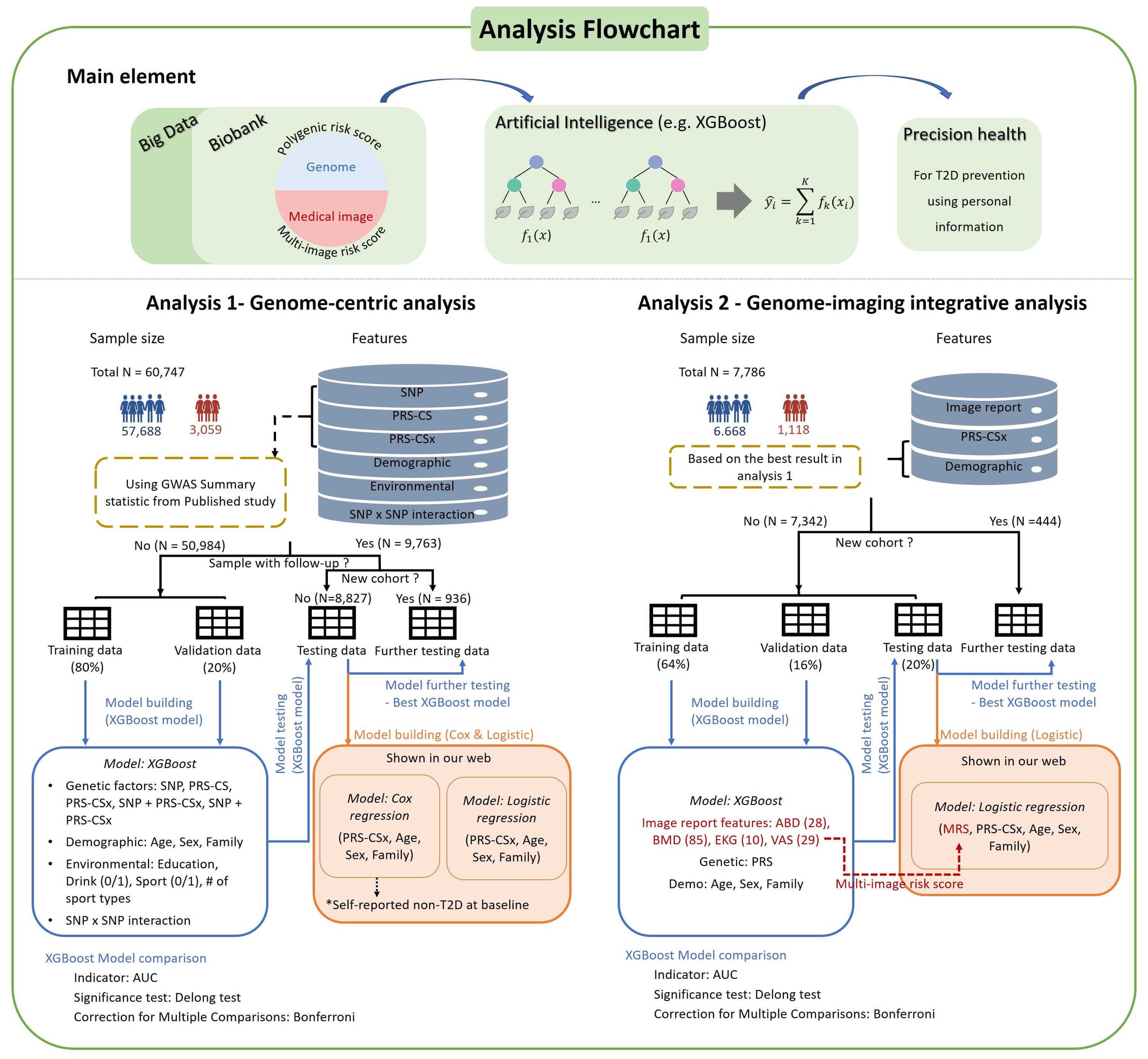 AI-Enhanced Integration of Genetic and Medical Imaging Data for Risk Assessment and Precision Health of Type 2 Diabetes