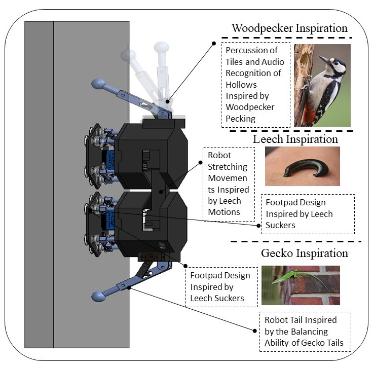 Tiny Machine Learning-Powered Smart Building Facade Tile Inspection Robot