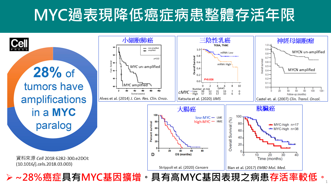 促進MYC蛋白質降解小分子口服新藥