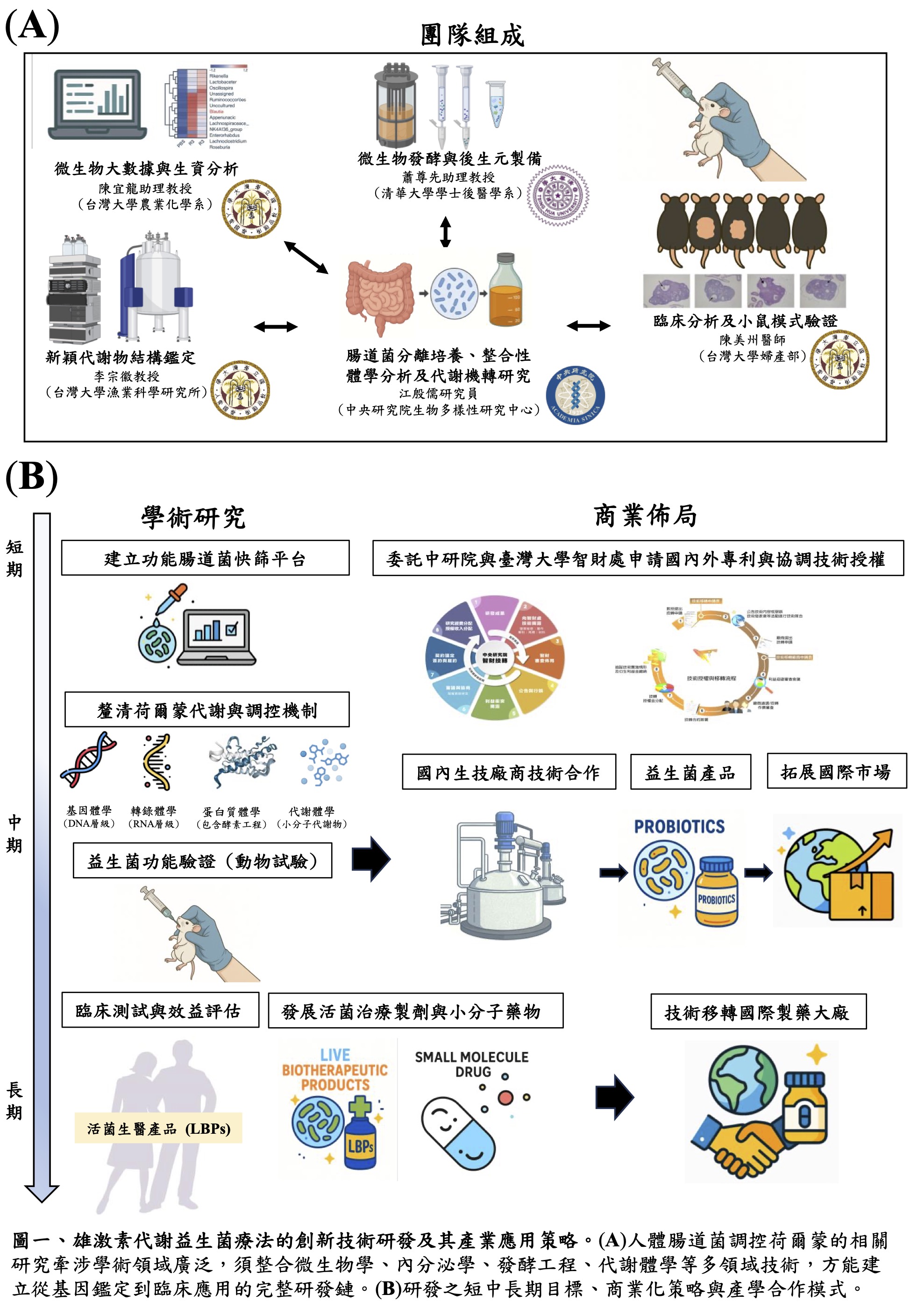 雄激素代謝益生菌之創新開發：針對高雄激素血症的功能性腸道微生物療法