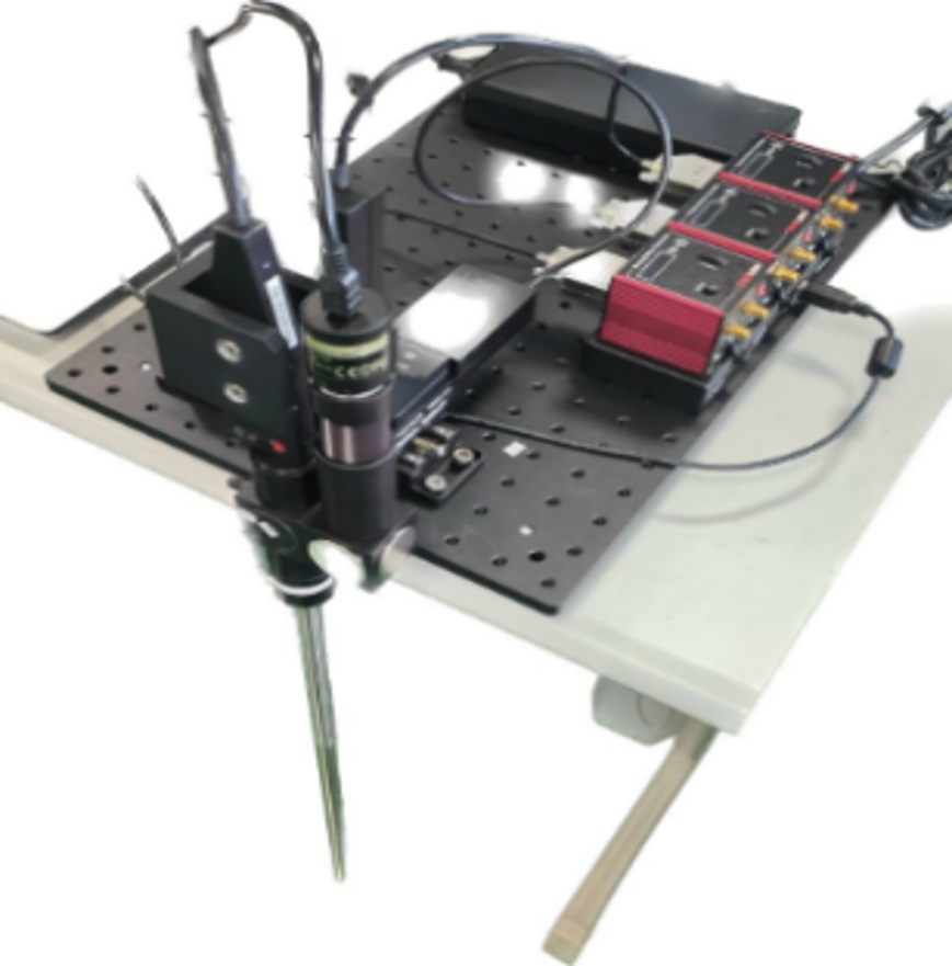 In-situ Raman Characterization Technology for Wafer-Scale 2D Material Chips